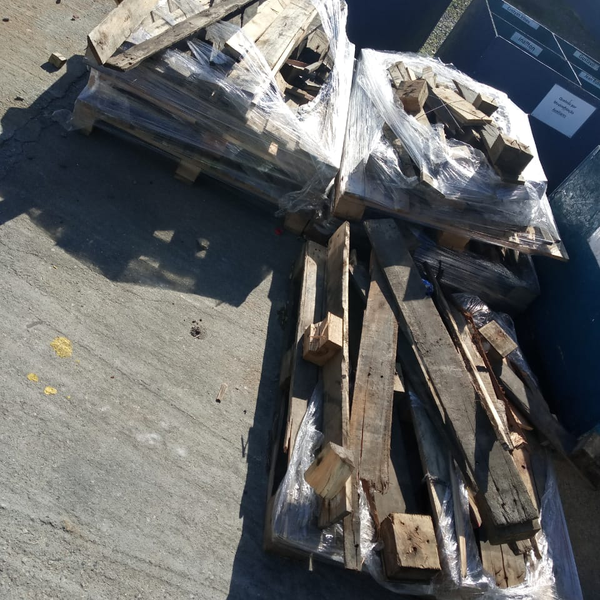 Toco de madeira - Madeira