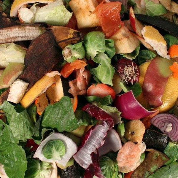 Bagaço de malte - orgânicos - SAO PAULO, SP - B2Blue - Compra e Venda de Resíduos