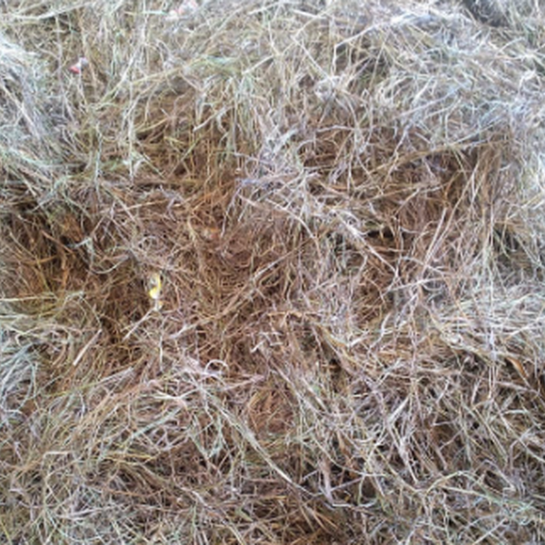 Resíduo: Palha - B2Blue  - Compra e Venda de Resíduos