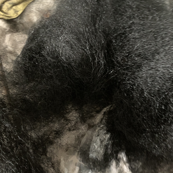 Poliester - plástico - São Paulo, SP - B2Blue - Compra e Venda de Resíduos