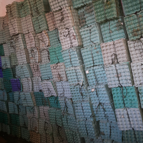 Bandejas de ovos usadas - papel/papelão - Iacri, SP - B2Blue - Compra e Venda de Resíduos