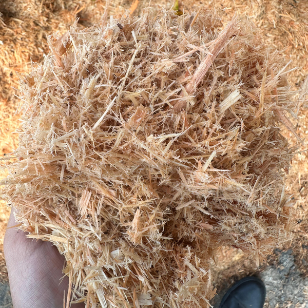 Pó de Madeira - Madeira