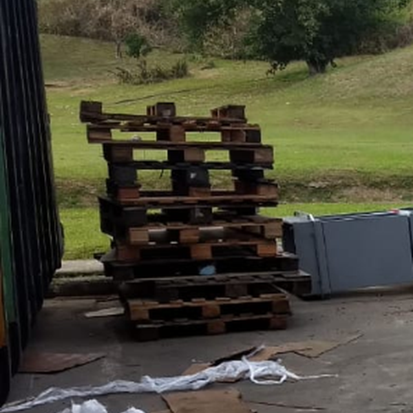 Madeira Pallets (medidas diversas) - Madeira