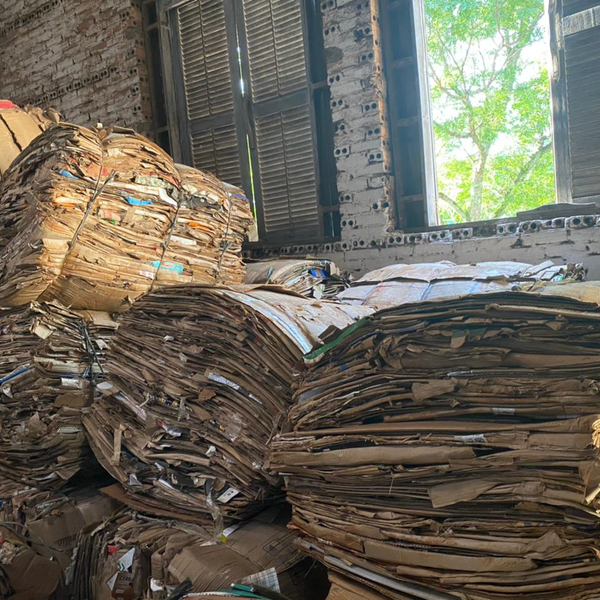 Aparas de papelão - papel/papelão - UNIAO DA VITORIA, PR - B2Blue - Compra e Venda de Resíduos