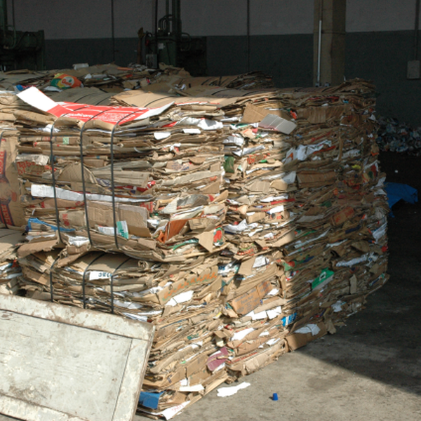 Papelão,papel,plastico abs pead pelmd - papel/papelão - Guarulhos, SP - B2Blue - Compra e Venda de Resíduos