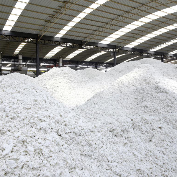 Resíduo: Apara papel 100% celulose - B2Blue  - Compra e Venda de Resíduos