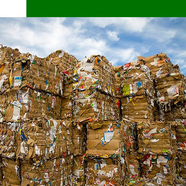 Papel - papelão - Papel/Papelão