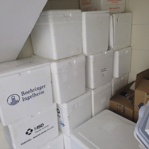 Isopor caixa - outros - outros - Chapecó, SC - B2Blue - Compra e Venda de Resíduos