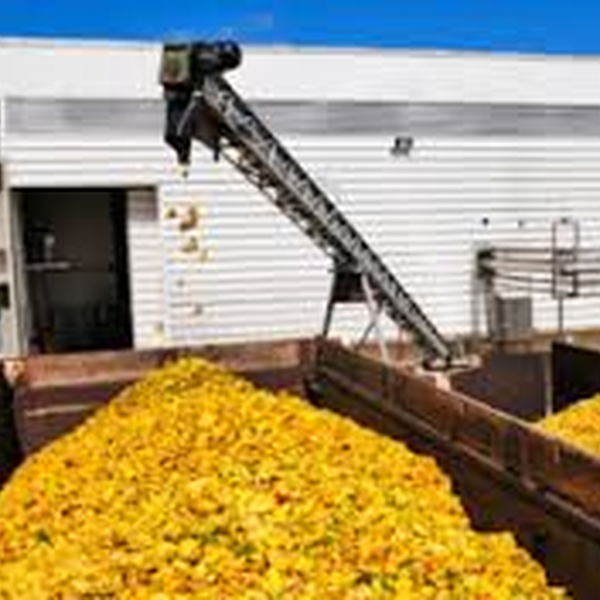 Resíduos de frutas - orgânicos - Olinda, PE - B2Blue - Compra e Venda de Resíduos