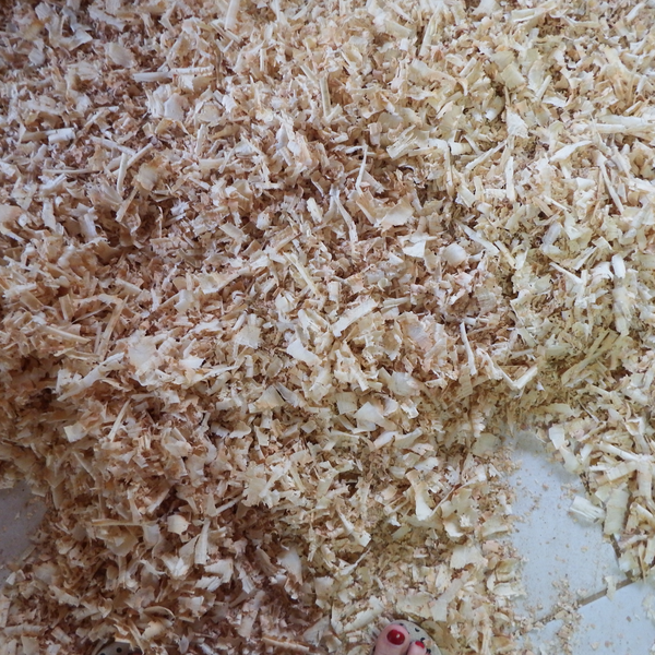 Cepilho de madeira seco misto - madeira - Campo Alegre, SC - B2Blue - Compra e Venda de Resíduos