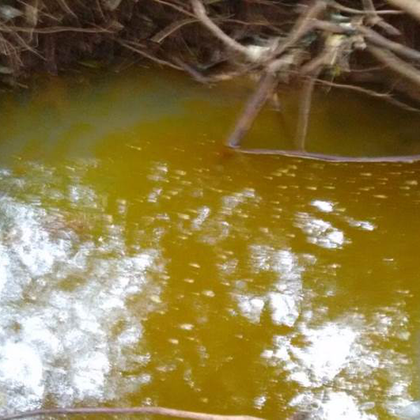  compro e vendo oleo vegetal usado retiro no local e acei... - orgânicos - Embu das Artes, SP - B2Blue - Compra e Venda de Resíduos