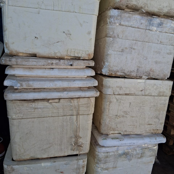 Isopor caixa - outros - SALVADOR, BA - B2Blue - Compra e Venda de Resíduos