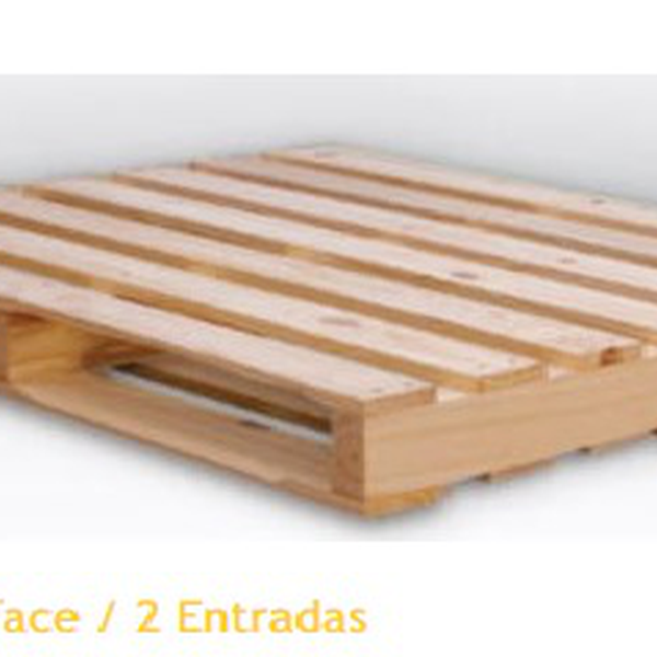 Pallets de eucalipto reflorestado - Outros