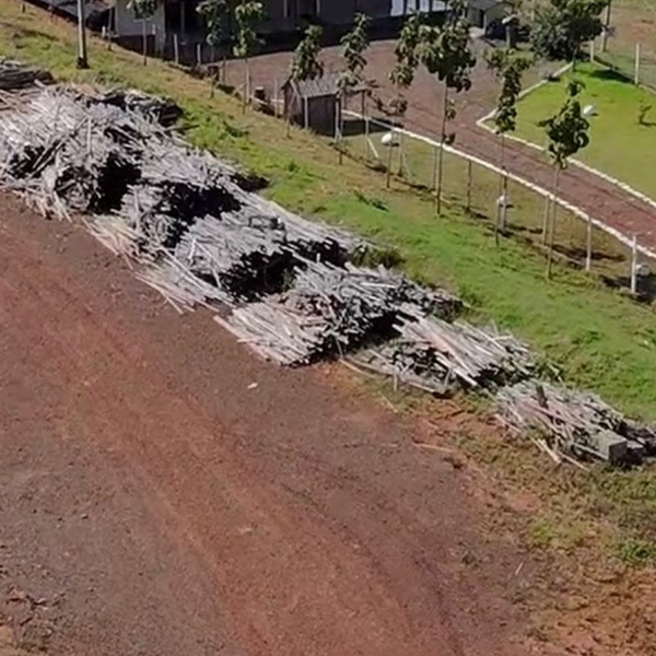 Resíduo: Eucalipto - B2Blue  - Compra e Venda de Resíduos