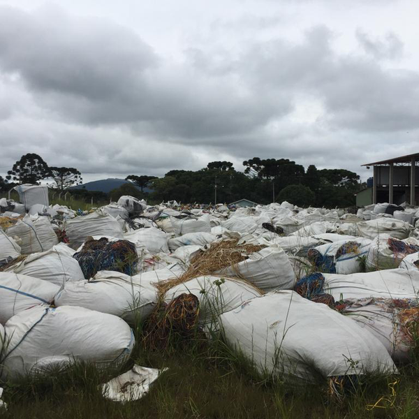 Pvb aparas - plástico - CURITIBA, PR - B2Blue - Compra e Venda de Resíduos
