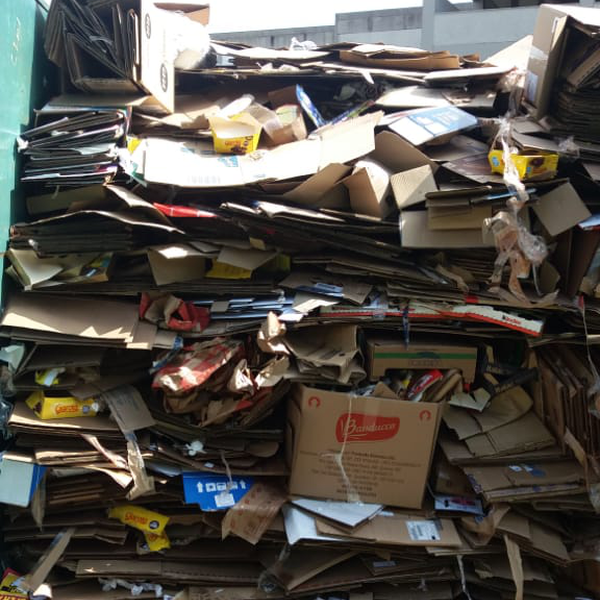 papelão solto - Papel/Papelão