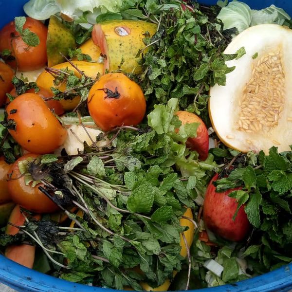 Resíduo: Orgânicos (hortaliças - B2Blue  - Compra e Venda de Resíduos