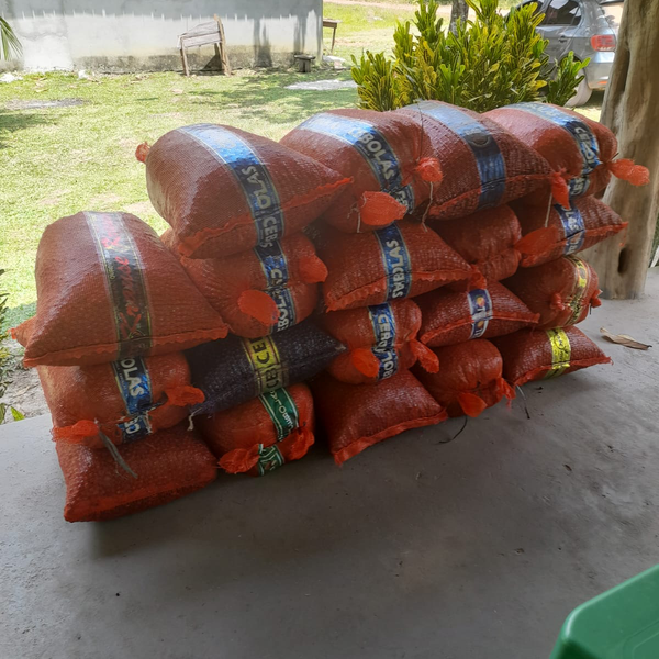 caroço de açai - Outros