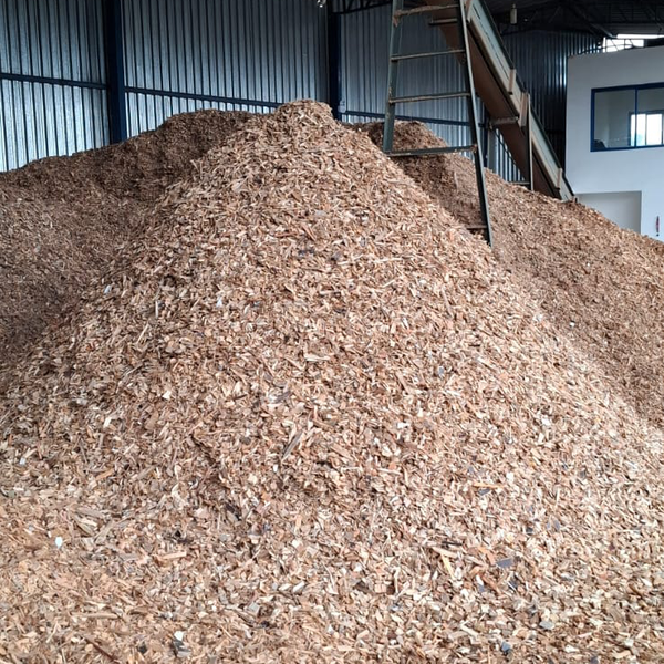 Cavaco  madeira - madeira - Brasília, DF - B2Blue - Compra e Venda de Resíduos