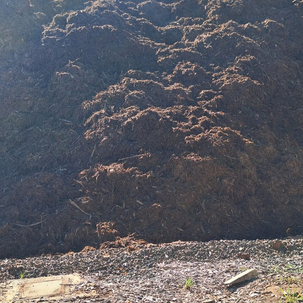 Resíduo: Biomass (wood chips) - B2Blue  - Compra e Venda de Resíduos