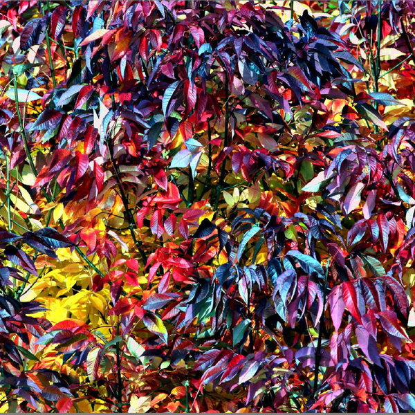 Sucata de abs - plástico - Garça, SP - B2Blue - Compra e Venda de Resíduos