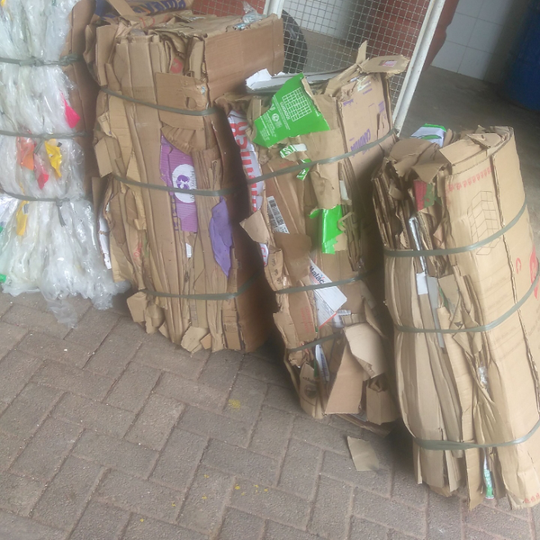 Papelão prensado - Papel/Papelão