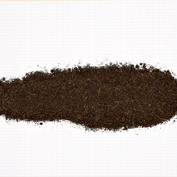 Resíduo: Resíduo de coco - B2Blue  - Compra e Venda de Resíduos