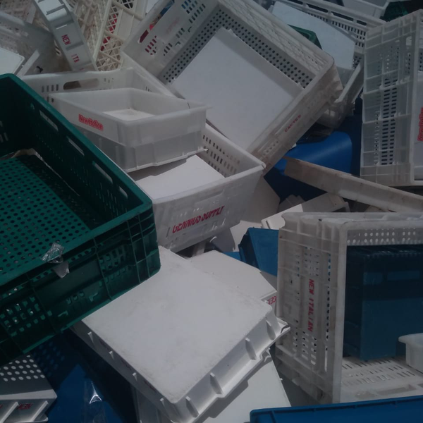 Sucata de caixas plasticas - Plástico