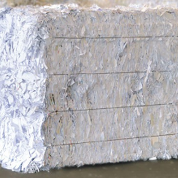 COMPRAMOS  PAPEL BRANCO I - Outros