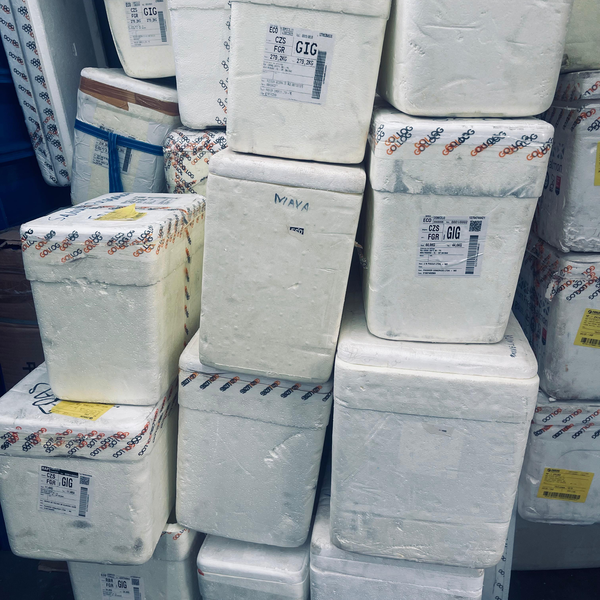 Isopor caixa - outros - outros - Nova Friburgo, RJ - B2Blue - Compra e Venda de Resíduos