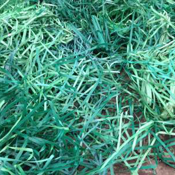 fita de arquear pet verde - Plástico