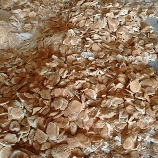 Pão - orgânicos - Itu, SP - B2Blue - Compra e Venda de Resíduos