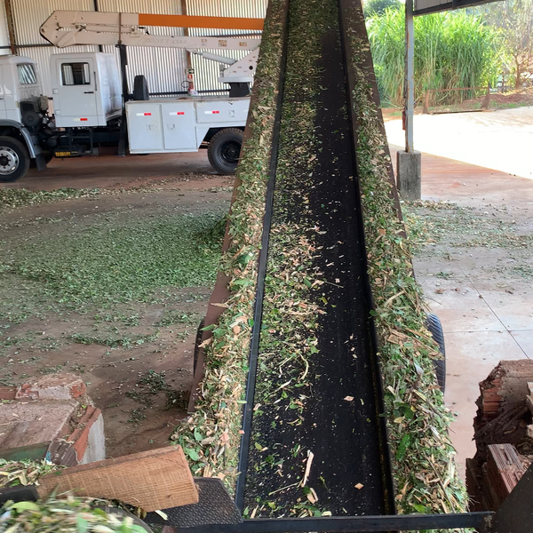 Madeira e folhagem triturados de poda de arvores - outros - Cianorte, PR - B2Blue - Compra e Venda de Resíduos