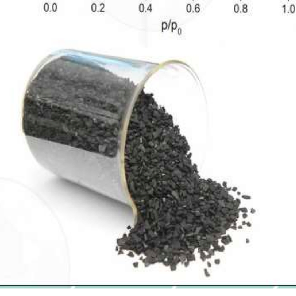 CARVAO ECOLOGICO - Orgânicos