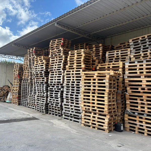 Paletes descartaveis de madeira - madeira - ARUJA, SP - B2Blue - Compra e Venda de Resíduos