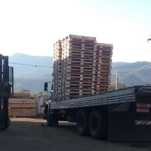 Resíduo: Paletes de madeira - B2Blue  - Compra e Venda de Resíduos