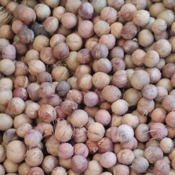 Resíduo: Caroço açaí - B2Blue  - Compra e Venda de Resíduos