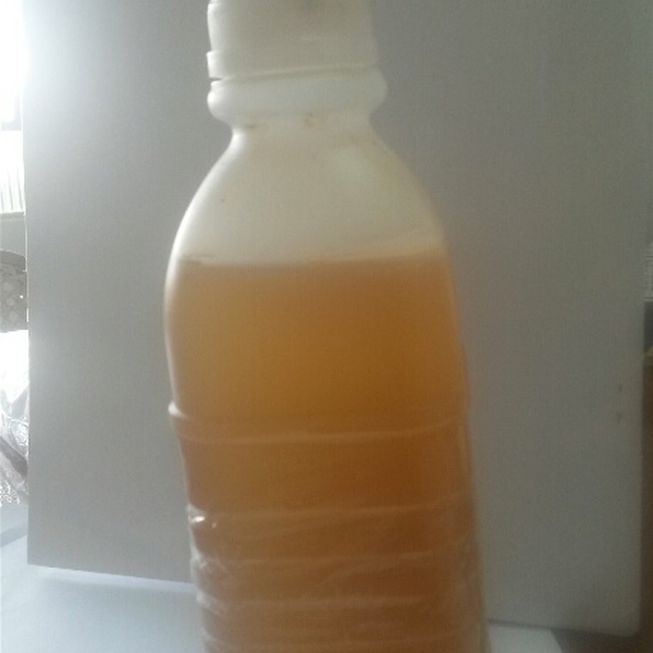 Efluente com ph baixo - orgânicos - Ponta Grossa, PR - B2Blue - Compra e Venda de Resíduos