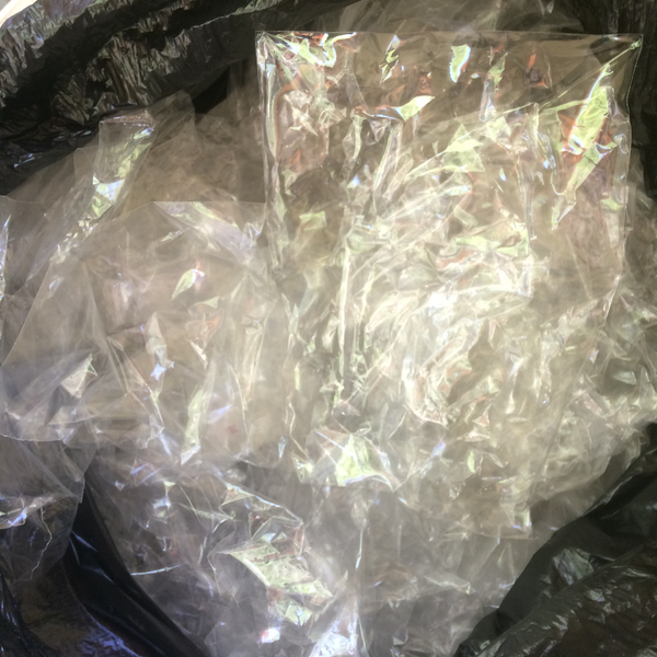 PP APARA TRANSPARENTE/SEM IMPRESSÃO - SECO/LIMPO - Plástico