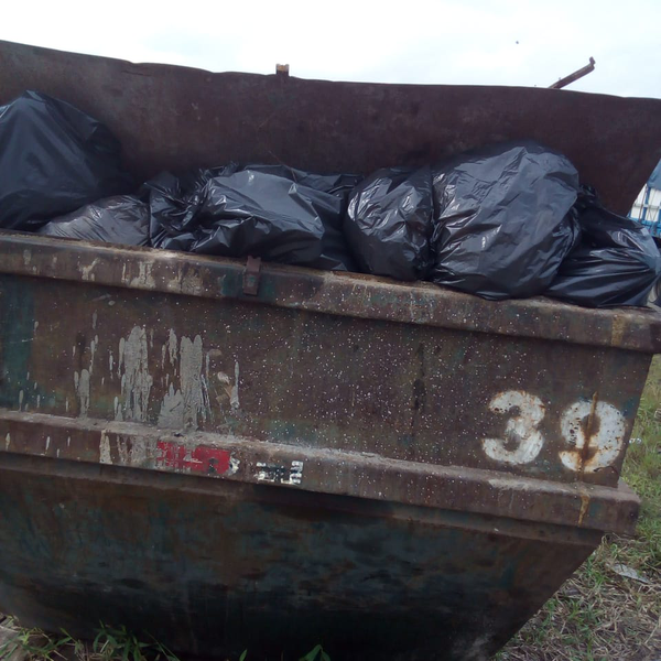 lixo/rejeito - Orgânicos