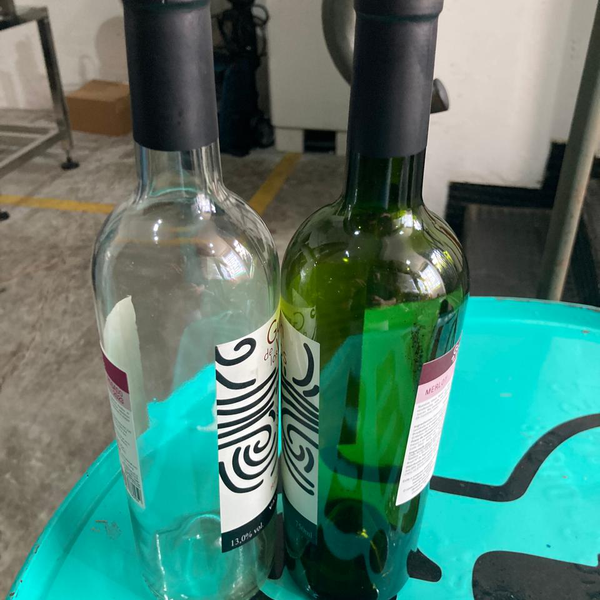 Garrafas cerveja  - outros - SAO PAULO, SP - B2Blue - Compra e Venda de Resíduos