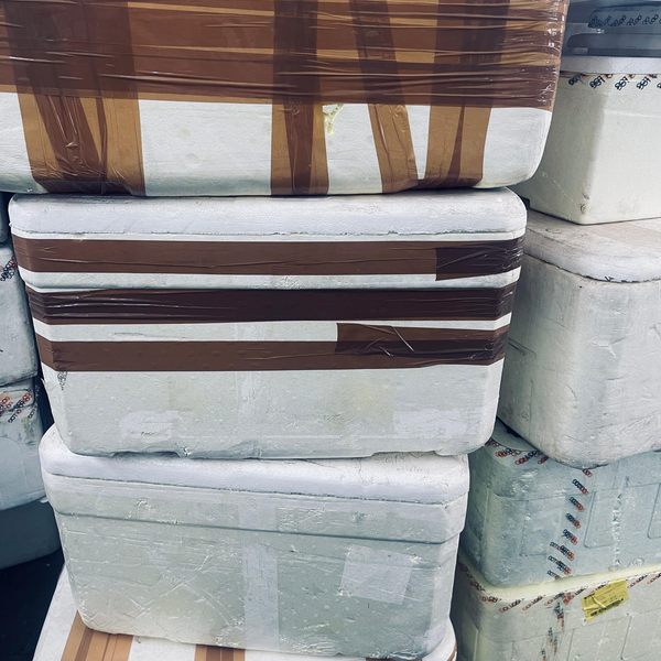 Isopor caixa - outros - Nova Friburgo, RJ - B2Blue - Compra e Venda de Resíduos