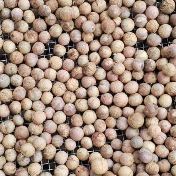 Sementes e cascas de frutas organicas - orgânicos - Porto Velho, RO - B2Blue - Compra e Venda de Resíduos