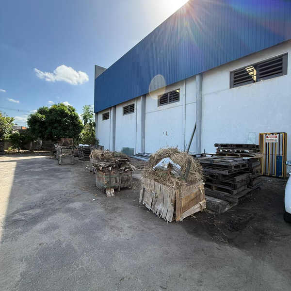Madeiras (embalagens de madeiras; pallets) - madeira - Serra, ES - B2Blue - Compra e Venda de Resíduos