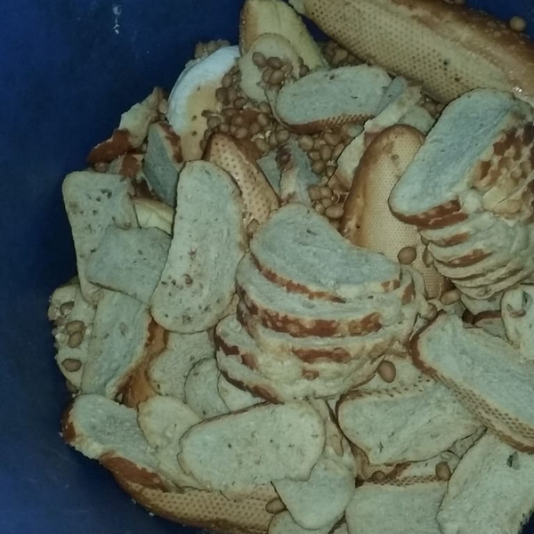 orgânicos - Orgânicos