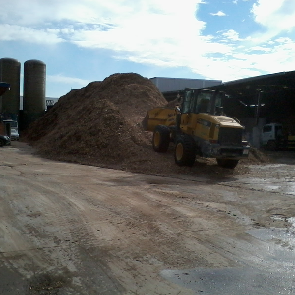 Biomassa - Orgânicos