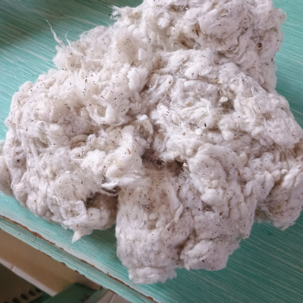 Piolho A PES/CO 50%/50% - Outros