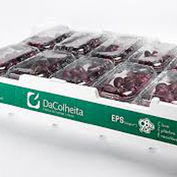 Isopor - plástico - Uberaba, MG - B2Blue - Compra e Venda de Resíduos