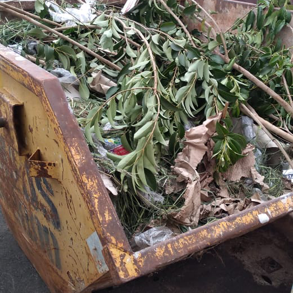 Poda de árvore - orgânicos - Ibiporã, PR - B2Blue - Compra e Venda de Resíduos