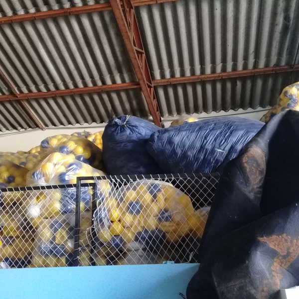 Resíduo: 250.000 bolinhas de psicina de bolinhas - B2Blue  - Compra e Venda de Resíduos